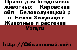 Приют для бездомных животных  - Кировская обл., Белохолуницкий р-н, Белая Холуница г. Животные и растения » Услуги   